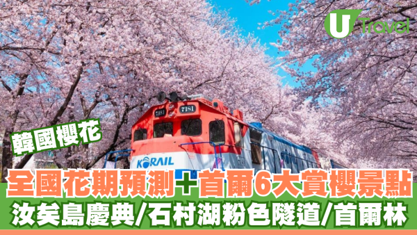 2026韓國櫻花攻略｜花期預測搶先睇！6大必去賞櫻景點 汝矣島/首爾林/石村湖