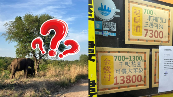 北區再現離奇地產廣告？呢個價租到千呎花園單位 養埋大笨象都得？網友：我想試下養