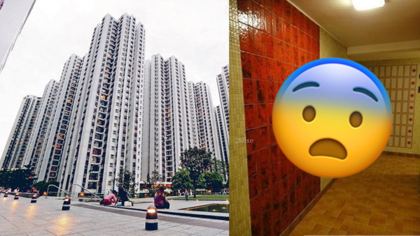 龍頭藍籌屋苑衰過住公屋？港人嫌屋菀殘舊無翻：成個骨灰龕場咁！網民列4點反駁呢點已經完勝？