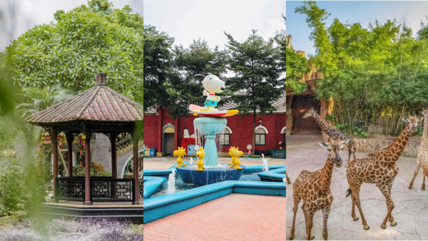 順德旅遊景點好去處｜10大必去推介！親子Snoopy樂園/文青打卡碼頭/古風千年水鄉