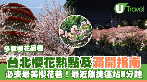 台北櫻花2026｜賞櫻花5大熱點及滿開指南 必去最美櫻花巷！最近離捷運站8分鐘 