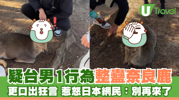 疑台男1行為整蠱奈良鹿 更口出狂言 惹怒日本網民：別再來了