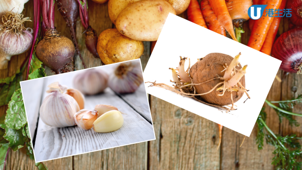 醫生解釋邊種根莖類食物發芽後可照食!  薑在一清況下食用增致癌風險