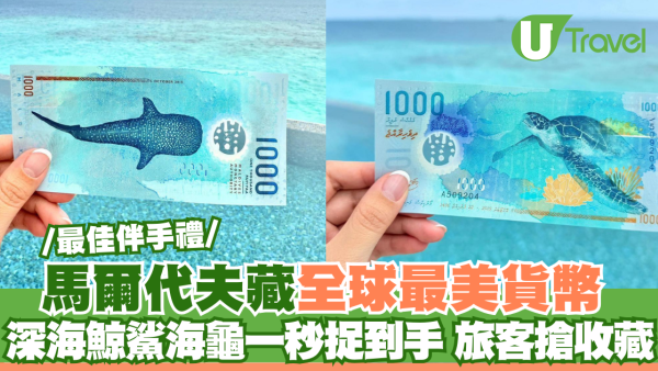 馬爾代夫藏全球最美貨幣 深海鯨鯊海龜一秒捉到手 旅客搶收藏