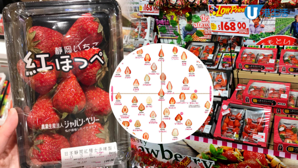 10大日本士多啤梨人氣品種比較！外型/甜度/級別一覽 附選購貼士/保存方法