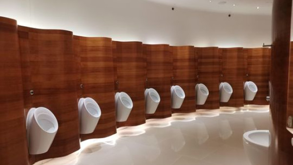 港島區1個廁所獲讚「國際級」設計獨特市民：廁格勁大同乾淨