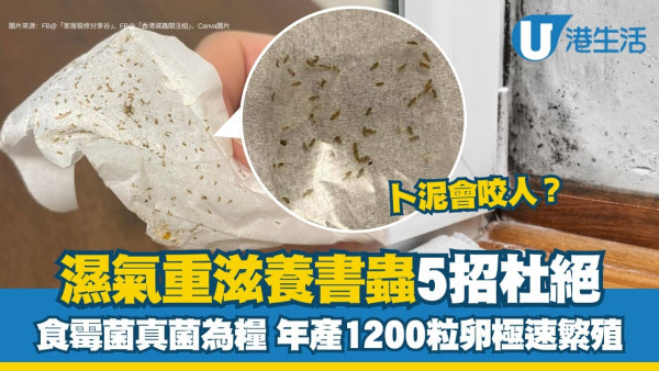 卜泥書蟲解決︱食紙食霉菌真菌每年生1200粒卵 5大方法杜絕書蝨