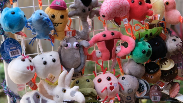 香港醫學博物館全新器官公仔開售！大腦/心臟/咖啡因鎖匙扣