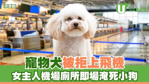 寵物犬被拒上機 狠心女主人機場廁所即場淹死小狗