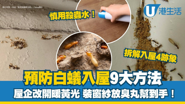 消滅白蟻解決攻略︱白蟻根治9方法!入屋4個跡象數月可啃光傢俬