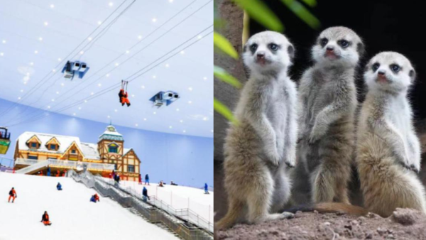 廣州親子三天團限時58折！廣州動物園/熱雪奇跡/融創大馬戲 包交通住宿、門票餐飲$367起