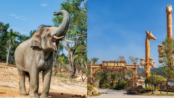 清遠長隆2天團限時優惠｜暢玩全新森林王國！低至$499連門票/船飛/酒店/美食