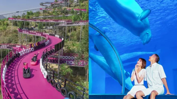 佛山廣州純玩三天團限時7折｜$799包盈香心動樂園/極地海洋世界/企鵝冰雪世界門票/2晚酒店/餐飲