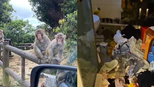 港女家遭爆竊浴室被翻報警！全屋唯獨1件物品失蹤 揭疑犯有獨特嗜好？