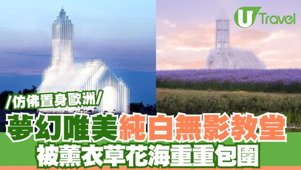 光影交織純白無影教堂 被薰衣草花海重重包圍 猶如油畫般夢幻唯美