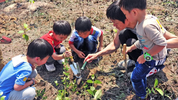 郊野公園遠足植樹日2025！免費參加種植2,000棵本地品種樹苗