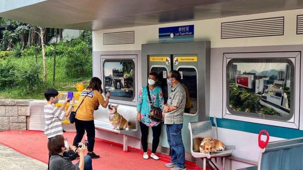 大埔林村河將設全新「城巴避雨亭」距原有烏蠅頭近200米