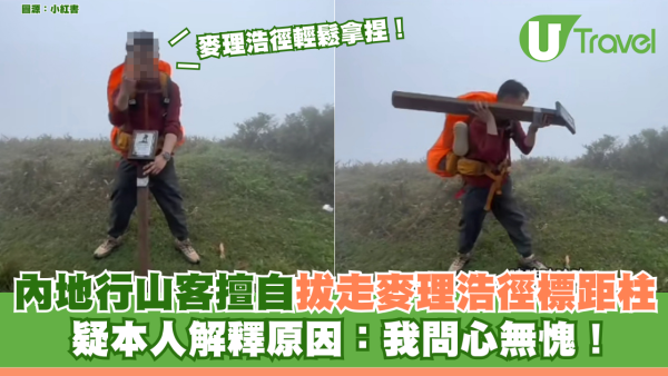內地行山客擅自拔走麥理浩徑標距柱 疑本人解釋原因：我問心無愧！