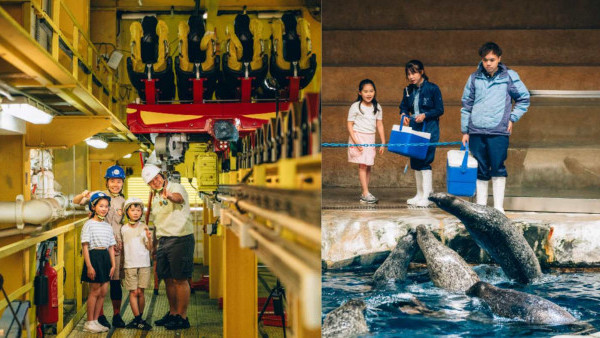 海洋公園全新夏日歷險課程！暑假近距離接觸企鵝/海豹/做大熊貓護理員？