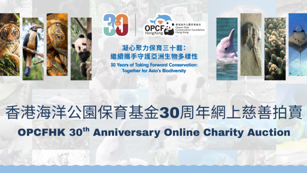 海洋公園保育基金慈善拍賣：張家朗奧運擊劍/Coldplay親筆簽名結他