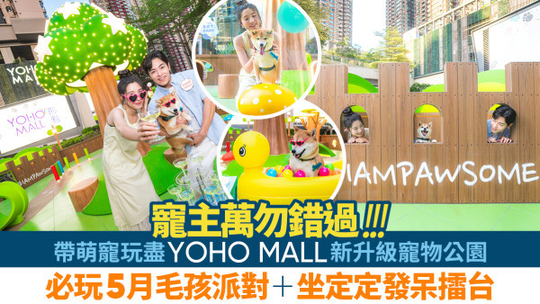 YOHO MALL新升級寵物公園登場！初夏必玩毛孩派對+坐定定發呆擂台賽