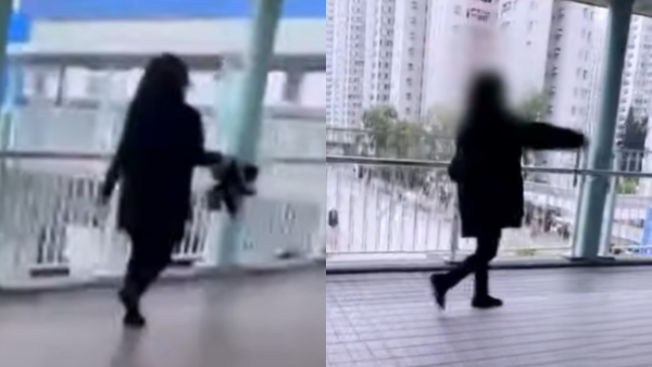 東張西望｜大圍「伸拳姐」無差別攻擊！大批學生街坊慘中招！網民怒斥︰傷到人就應該逮捕佢！