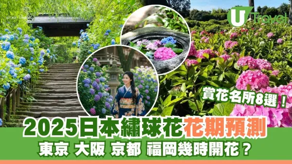 繡球花日本幾月開花？2026全國花期預測！8個賞花名所過萬藍色繡球花海綻放