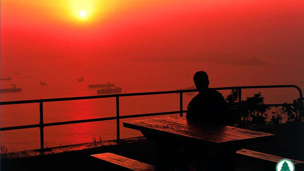 四山旅遊打卡！4條簡易行山路線最快‎1.5小時行完半日遊行程