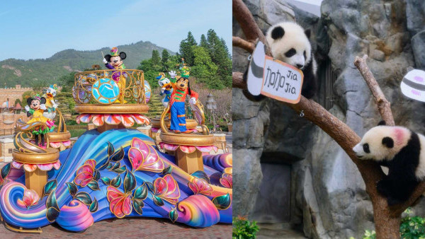 香港兩大主題樂園門票優惠！迪士尼門票$304.5起/海洋公園半價$249起