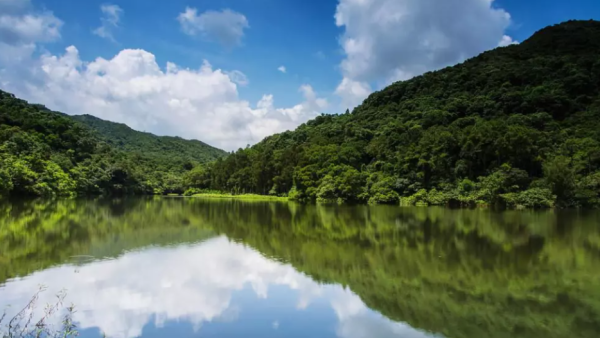 港版輕井澤半日遊！流水響水塘$350觀賞螢火蟲+天空之鏡打卡