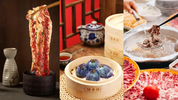 深圳國貿站美食推薦｜北上飲早茶老字號、大眾點評必吃榜餐廳　附地鐵出口