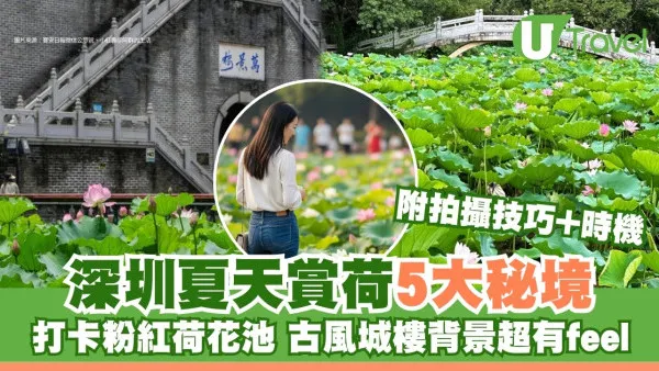 深圳賞荷秘境免費！5大粉紅荷花池打卡點 附最佳觀賞期+拍攝技巧