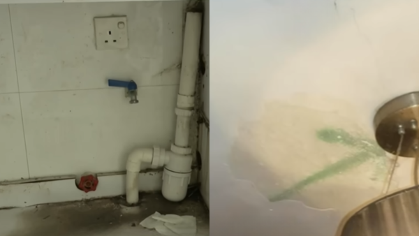 港女買樓慘墮「天仙局」！成交前發現漏水因一事竟照買！前業主代表稱負責後反口失聯？