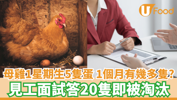 母雞1星期生5隻蛋 1個月有幾多隻？ 見工面試答20隻即被淘汰