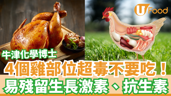 牛津化學博士：4大雞部位不要吃！ 容易攝取毒素／生長激素／抗生素！