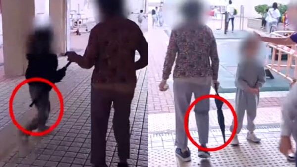彩虹邨「敲腳婆婆」無差別攻擊小朋友！街坊苦不堪言揭4大惡行！婆婆女兒咁樣講...