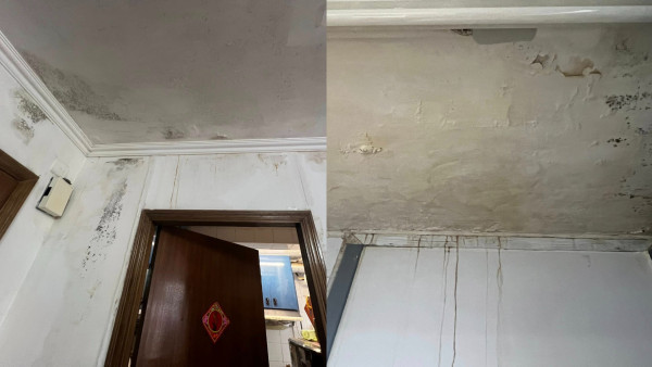 公屋滲水甩灰3個月未維修！傷殘住戶跌倒瘀傷求助！辦事處職員僅6字敷衍回覆