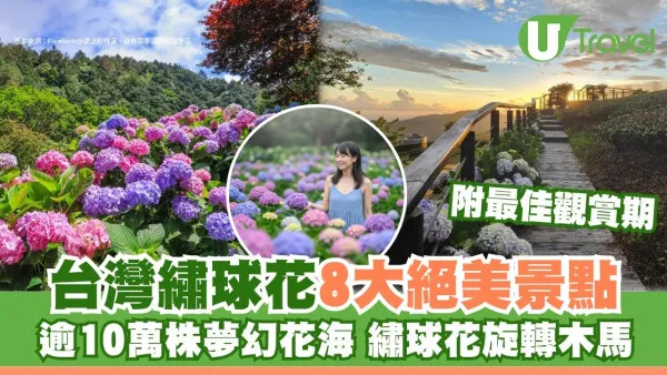 2026台灣繡球花｜8大絕美繡球花景點！ 逾10萬株夢幻花海/繡球花旋轉木馬