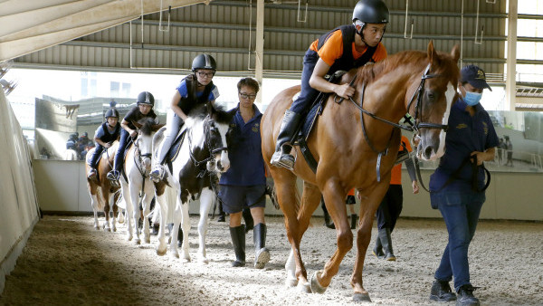 馬會招募賽事見習學員！無經驗可申請！有月薪及免費住宿！培訓成為騎師/策騎員/獸醫技術員