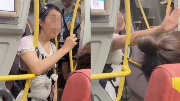 全身名牌老婦$2現金搭車！拒付車資致巴士停駛！同乘客互鬧講5個字激嬲港人