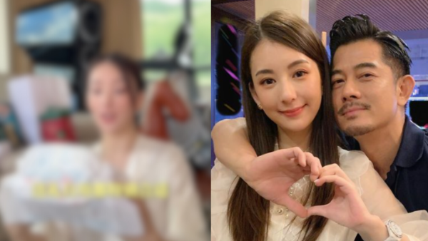 方媛懷孕第三胎意外曝光養胎豪宅 一件超巨型物件盡顯「天王嫂」奢華生活