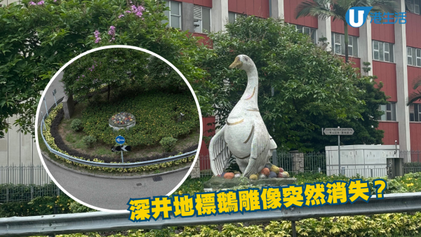 深井地標鵝型雕像離奇消失？惹網民熱議：上星期仲見到喺度