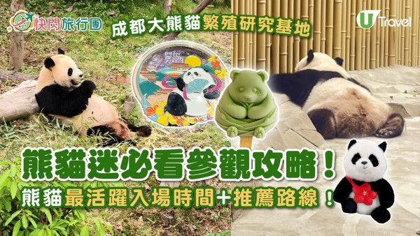 成都大熊貓繁殖研究基地｜熊貓迷必看參觀攻略！ 想睇精靈熊貓幾時入場好？附推薦路線！