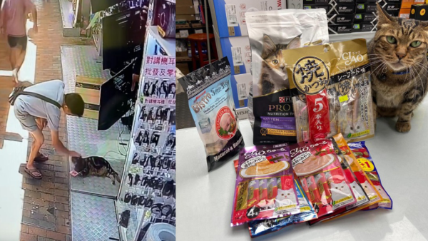 大叔的愛！專程擺低$200畀貓店長買罐罐「摸頭殺」超暖心