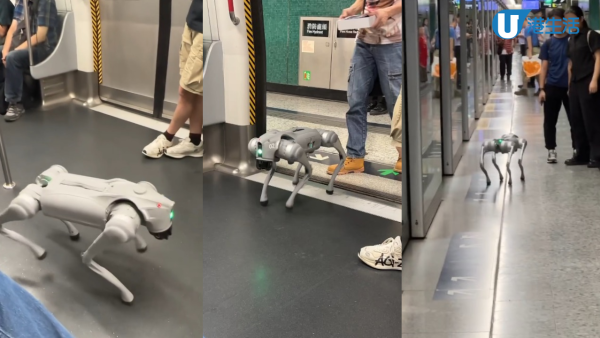 機械狗遊港鐵河惹偷拍疑慮！網民熱議：影人裙底好尷尬喎