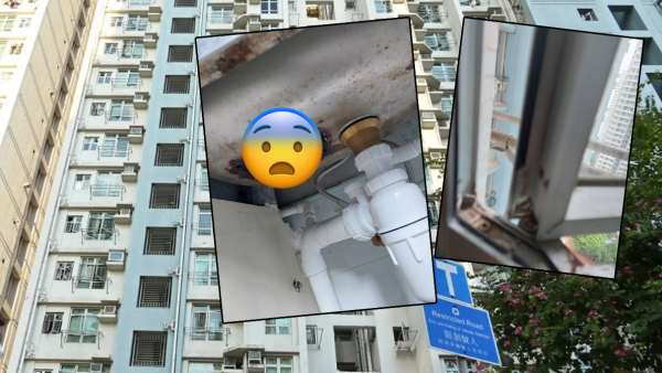 公屋收樓後驚見4嚴重狀況！牆身滲水壞窗如同爛屋？港人呻：我直情想喊