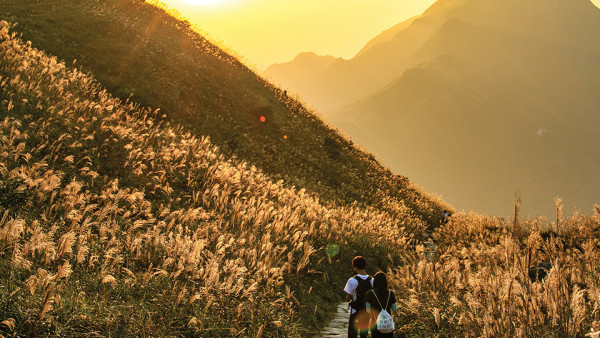 香港日落聖地Top10！打卡大片芒草/日落雲海 附交通懶人包