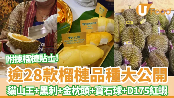 【榴槤品種】逾28款榴槤品種大公開 教你秒速揀出極品榴槤