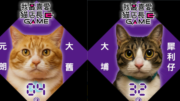 我最喜愛貓店長2025投票開始！38位貓店長入圍選出人氣10強