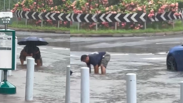 颱風韋帕｜十號風球新田圍邨馬路水浸阻車！港男深水徒手通渠獲網民封平民英雄